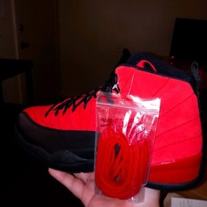 - Brand New Air Jordan 12 Reverse flu game c…